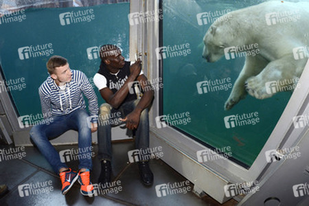 Hannover 96 Spieler im Zoo, Hannover