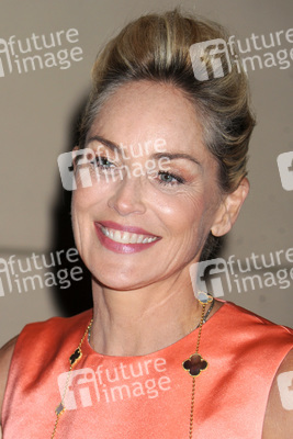 'Lovelace' New York Press Conference