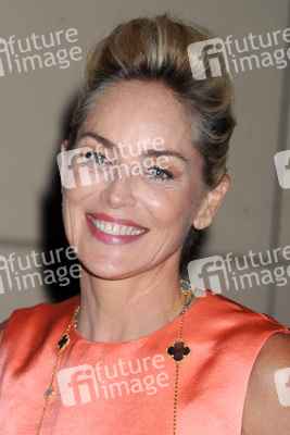 'Lovelace' New York Press Conference