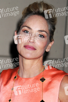 'Lovelace' New York Press Conference