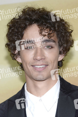 'Chroniken der Unterwelt - City Of Bones' Premiere, Berlin