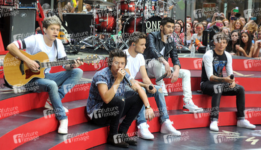 Niall Horan, Harry Styles, Liam Payne, Zayn Malik, Louis Tomlinson (One Direction)