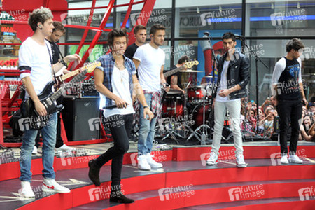 Niall Horan, Harry Styles, Liam Payne, Zayn Malik, Louis Tomlinson (One Direction)