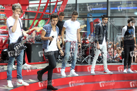 Niall Horan, Harry Styles, Liam Payne, Zayn Malik, Louis Tomlinson (One Direction)