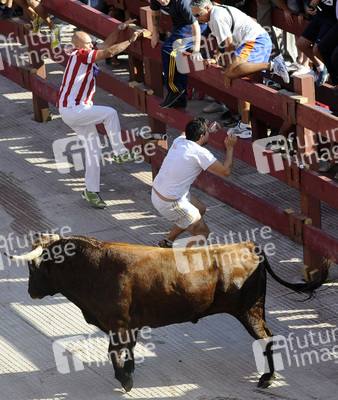 Stierlauf, Alcalá de Henares