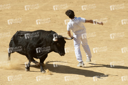 Stierlauf, Alcalá de Henares