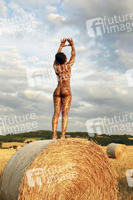 Auf dem Acker / In the Field