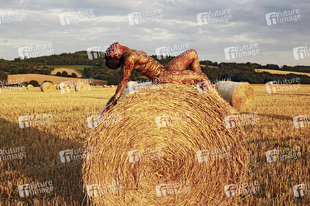 Auf dem Acker / In the Field