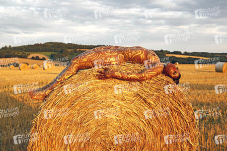 Auf dem Acker / In the Field