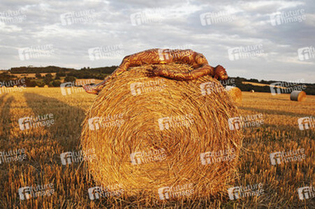Auf dem Acker / In the Field