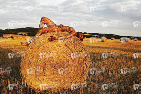 Auf dem Acker / In the Field