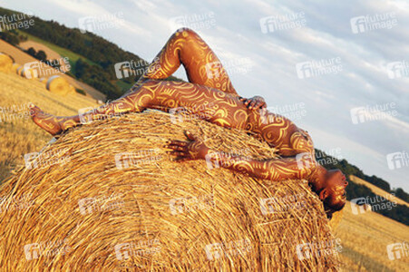 Auf dem Acker / In the Field