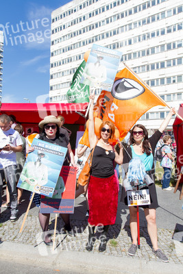 'Freiheit statt Angst 2013' Demonstration, Berlin