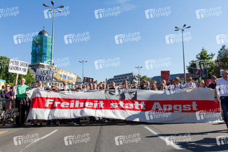 'Freiheit statt Angst 2013' Demonstration, Berlin