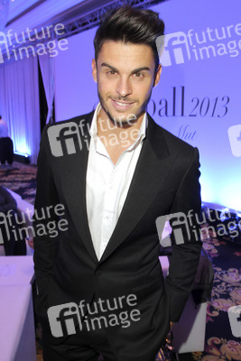 Dreamball 2013, Berlin