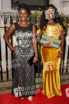 BFI Luminous Gala, Premiere, BFI London Film Festival 2013