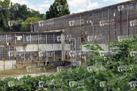 'The Walking Dead' Movie Tour, Atlanta und Umland