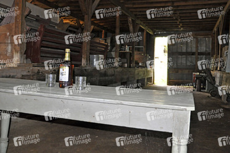 'The Walking Dead' Movie Tour, Atlanta und Umland