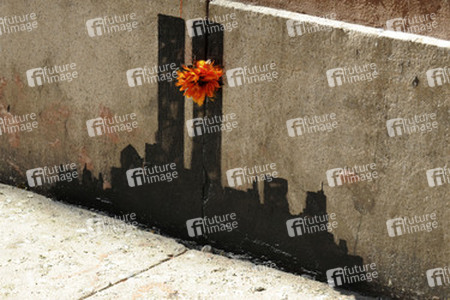 Banksy Street Art, New York