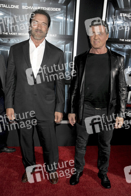 Arnold Schwarzenegger, Sylvester Stallone