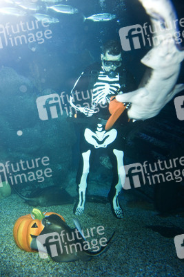 Halloween im AquaDom & Sea Life Berlin