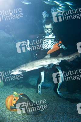 Halloween im AquaDom & Sea Life Berlin