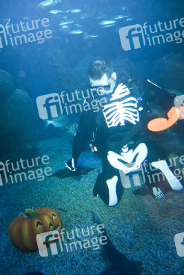 Halloween im AquaDom & Sea Life Berlin