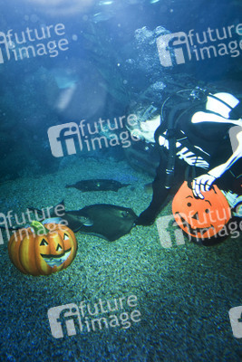 Halloween im AquaDom & Sea Life Berlin