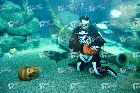 Halloween im AquaDom & Sea Life Berlin