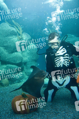 Halloween im AquaDom & Sea Life Berlin