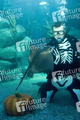 Halloween im AquaDom & Sea Life Berlin