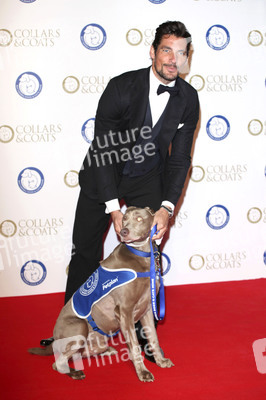 Collars & Coats Gala Ball, London