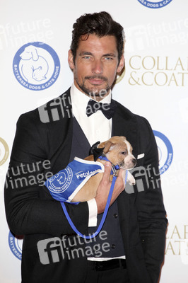 Collars & Coats Gala Ball, London