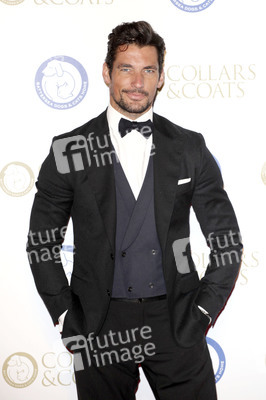 Collars & Coats Gala Ball, London