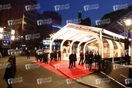 Am roten Teppich beim Bambi 2013