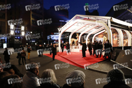 Am roten Teppich beim Bambi 2013
