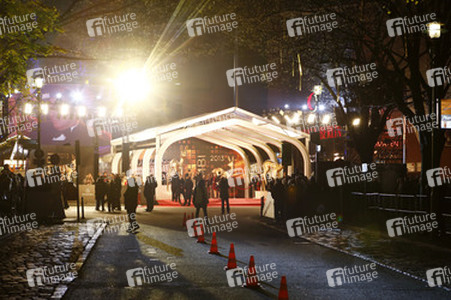 Am roten Teppich beim Bambi 2013