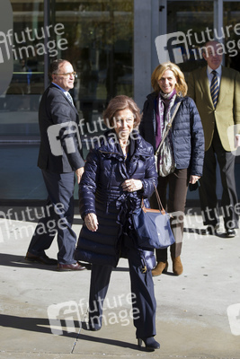 Krankenbesuch bei König Juan Carlos, Pozuelo de Alarcon