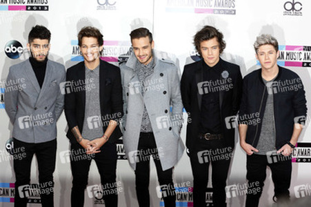 Zayn Malik, Louis Tomlinson, Liam Payne, Harry Styles, Niall Horan (One Direction)