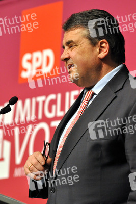 Regionalkonferenz der SPD zum Koalitionsvertrag, Hofheim