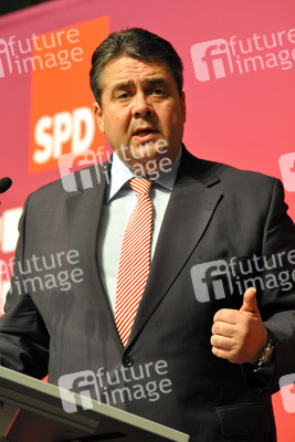 Regionalkonferenz der SPD zum Koalitionsvertrag, Hofheim