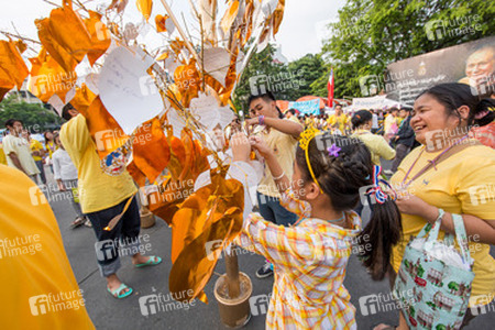 Geburtstagfeier von König Bhumibol Adulyadej, Bangkok