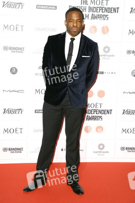Moet British Independent Film Awards 2013, London