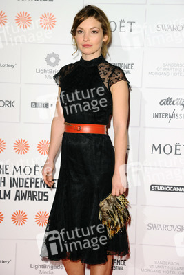 Moet British Independent Film Awards 2013, London