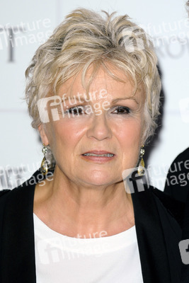 Moet British Independent Film Awards 2013, London