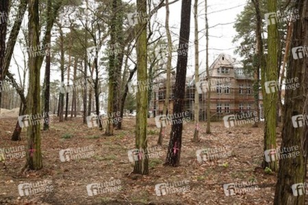 Brand in Bushidos Villa, Kleinmachnow