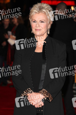 'The Harry Hill Movie' Premiere, London