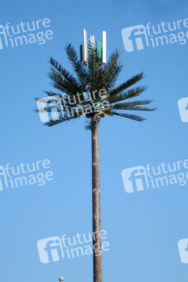 Sightseeing Dubai