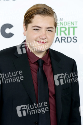 Independent Spirit Awards 2014, Santa Monica