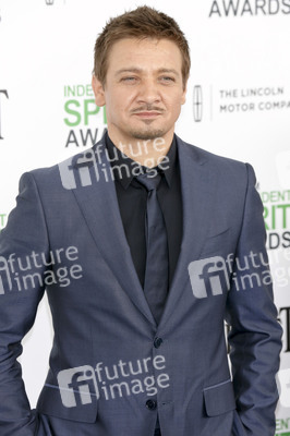 Independent Spirit Awards 2014, Santa Monica